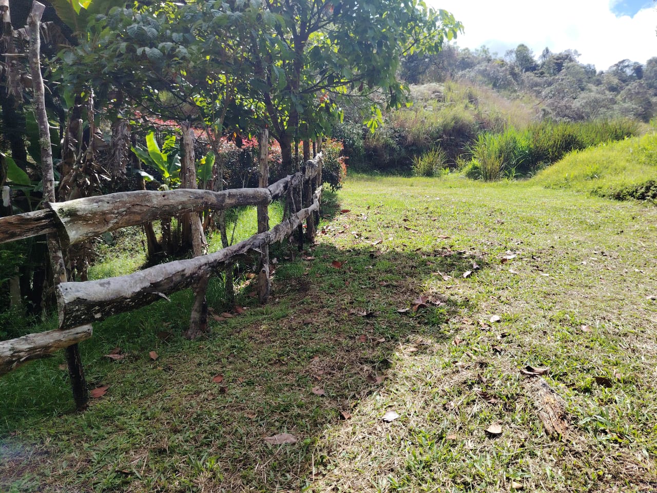 Lote